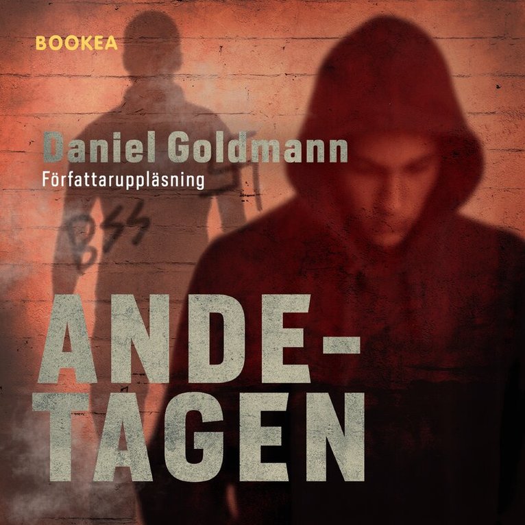 Daniel Goldmann - Ande-tagen, Ljudbok