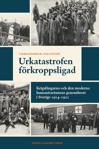 Urkatastrofen frkroppsligad : krigsfngarna och den moderna humanitarismens genombrott i Sverige 1914-1921