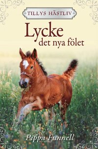 Lycke : det nya flet