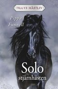 Solo - stjrnhsten