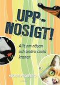 Uppnosigt! Allt om nsan och andra coola kranar