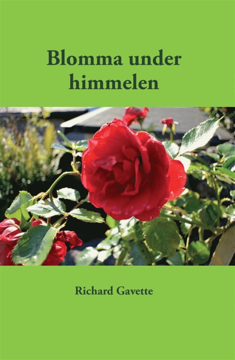 Richard Gavette - Blomma under himmelen, E-bok