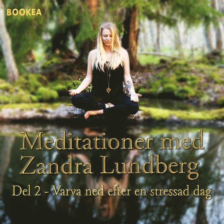 Zandra Lundberg - Varva ned efter en stressad dag, Ljudbok