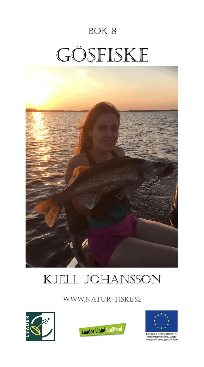 Kjell Johansson - Gösfiske, E-bok. Tillgänglighet: Lägg i varukorg