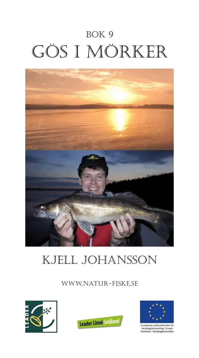 Kjell Johansson - Gös i Mörker, E-bok. Tillgänglighet: Lägg i varukorg