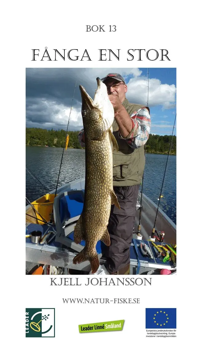 Kjell Johansson - Fånga en Stor, E-bok. Tillgänglighet: Lägg i varukorg