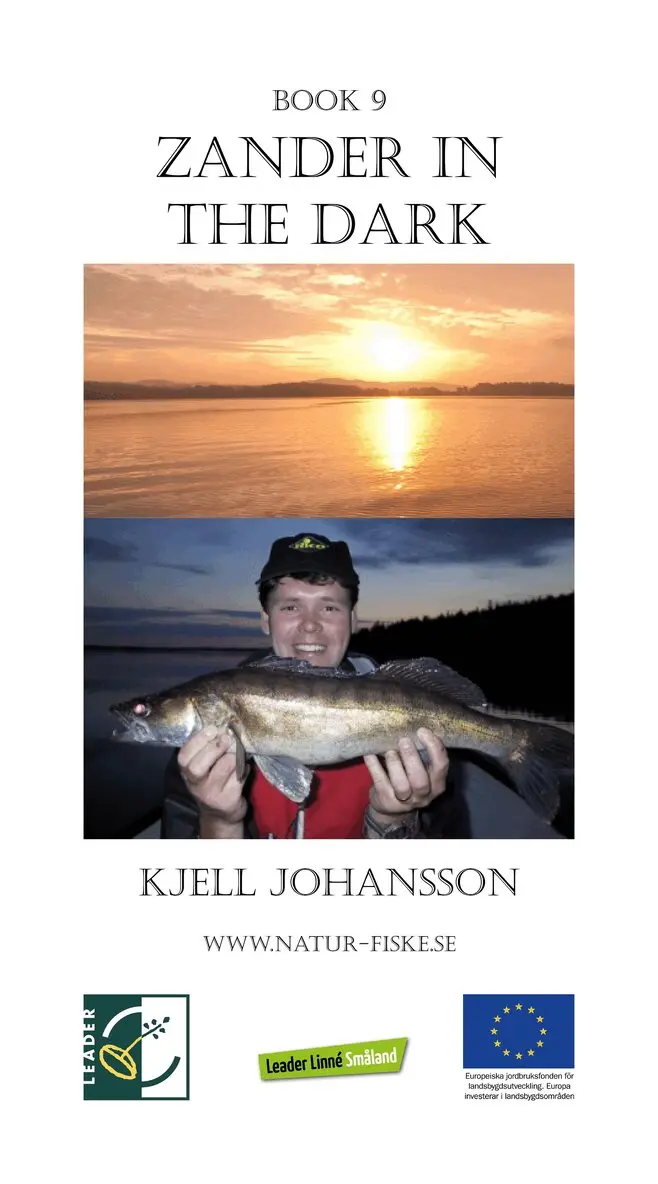 Kjell Johansson - Zander in the Dark, E-bok. Tillgänglighet: Lägg i varukorg