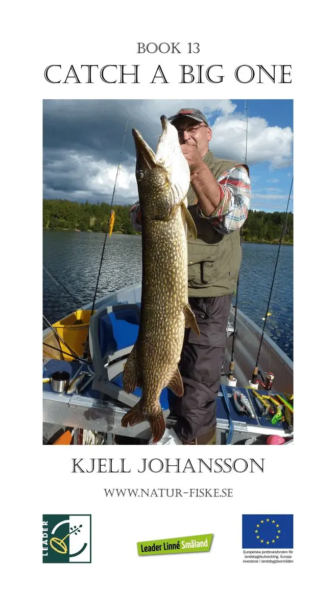 Kjell Johansson - Catch a Big One, E-bok. Tillgänglighet: Lägg i varukorg