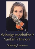 Solveigs vanthfte 9, Vantar frn norr