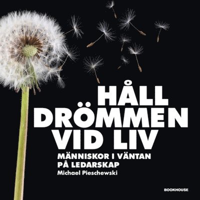 Michael Pieschewski - Håll drömmen vid liv - Människor i väntan på ledarskap, E-bok