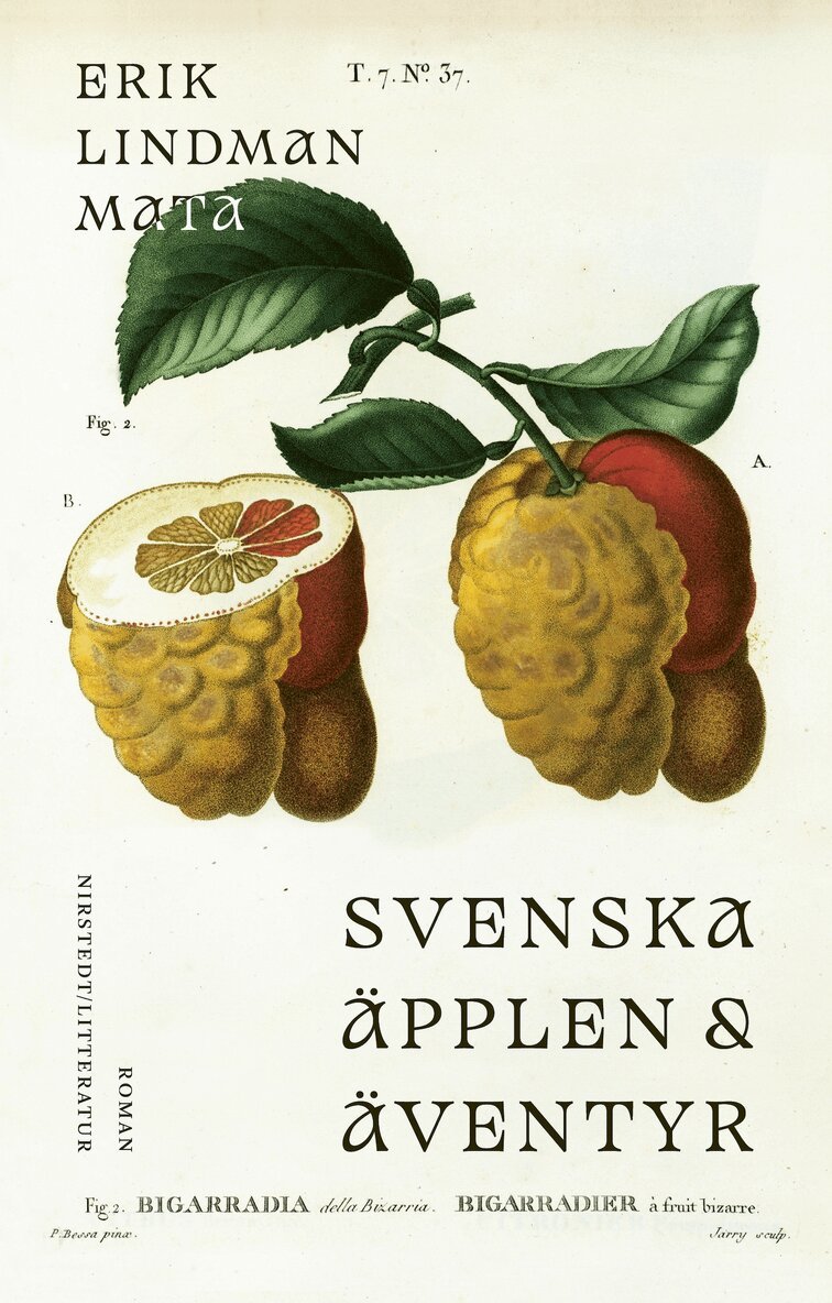 Erik Lindman Mata - Svenska äpplen och äventyr, E-bok