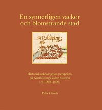 En synnerligen vacker och blomstrande stad : historisk-arkeologiska perspektiv p� Norrk�pings �ldre historia (ca 1000-1800)
