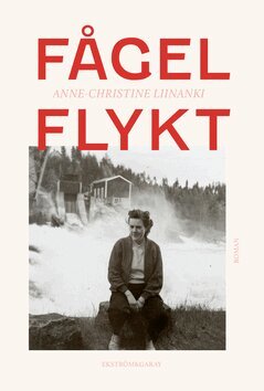 Anne-Christine Liinanki - Fågelflykt, E-bok