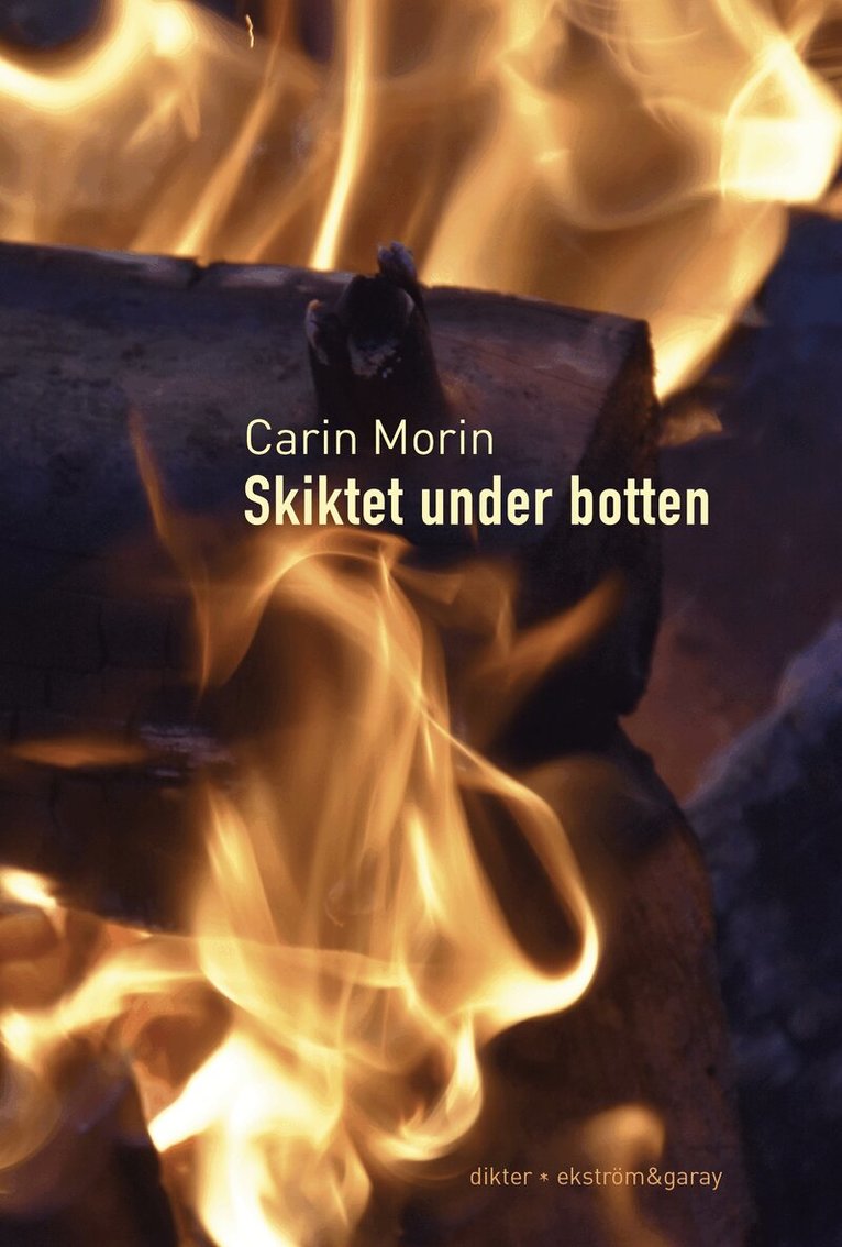 Carin Morin - Skiktet under botten, Häftad