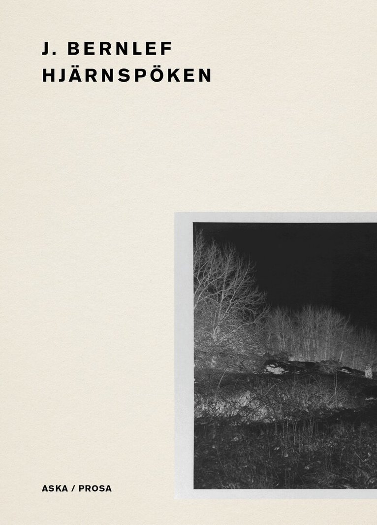 J. Bernlef - Hjärnspöken, Häftad