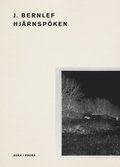 Hjärnspöken