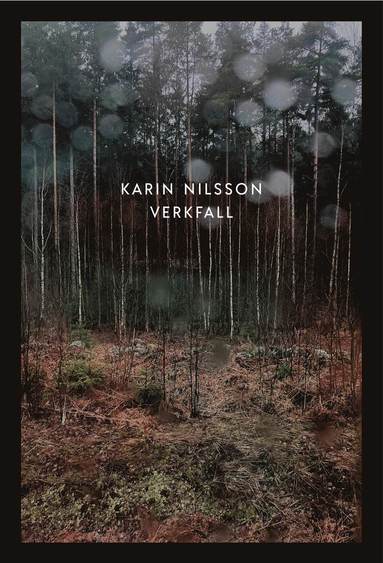 Karin Nilsson Verkfall