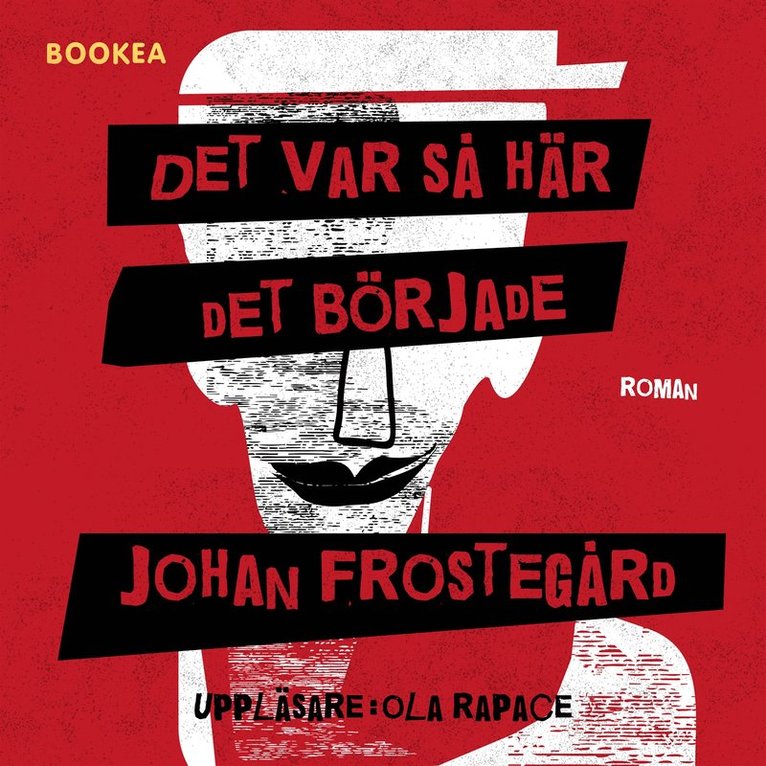 Johan Frostegård - Det var så här det började, Ljudbok