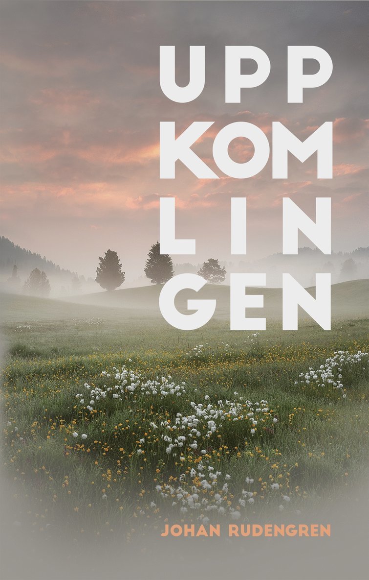 Johan Rudengren - Uppkomlingen, E-bok