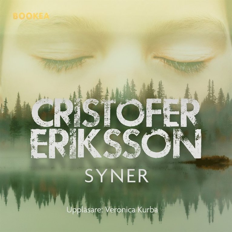 Cristofer Eriksson - Syner, Ljudbok