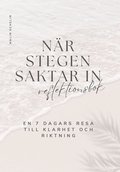 N�r stegen saktar in: Reflektionsbok