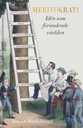 Meritokrati :idn som frndrade vrlden