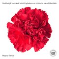 Partiet p kant med (v)erkligheten: En historia om solidaritet