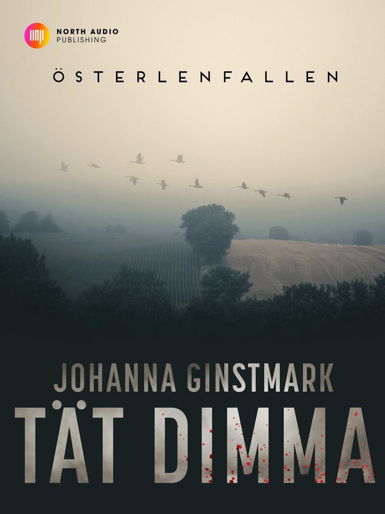 Johanna Ginstmark - Tät dimma, E-bok