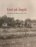 Livet på Ängsö : följ med på en tidsresa 1900-1970
