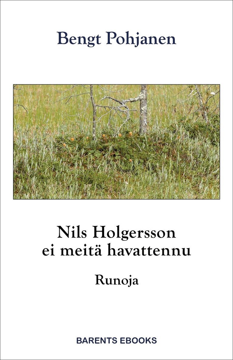 Bengt Pohjanen - Nils Holgersson ei meitä havattennu, E-bok