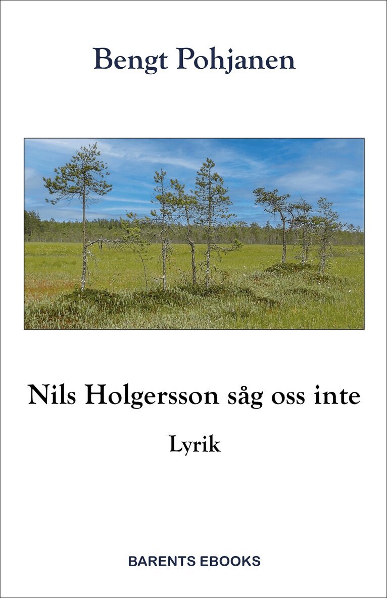 Bengt Pohjanen - Nils Holgersson såg oss inte, E-bok