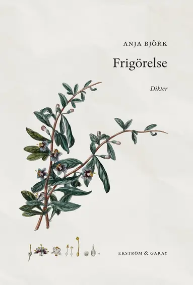 Anja Björk - Frigörelse, Inbunden