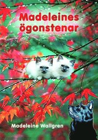 Guds och Madeleines �gonstenar