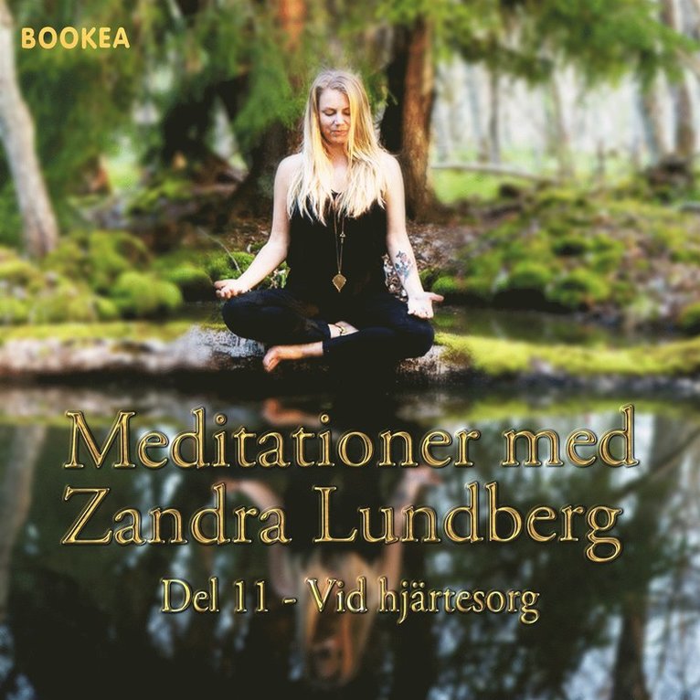 Zandra Lundberg - Vid hjärtesorg, Ljudbok