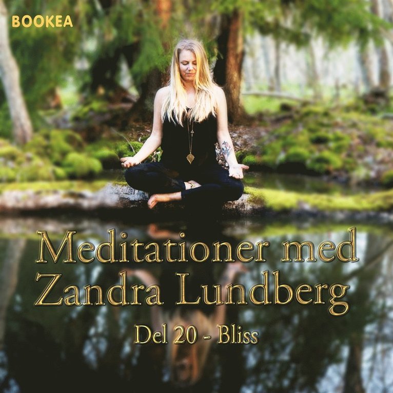Zandra Lundberg - Bliss, Ljudbok