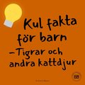 Kul fakta för barn: Tigrar och andra kattdjur