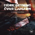 Mrk gryning ver Ljugarn