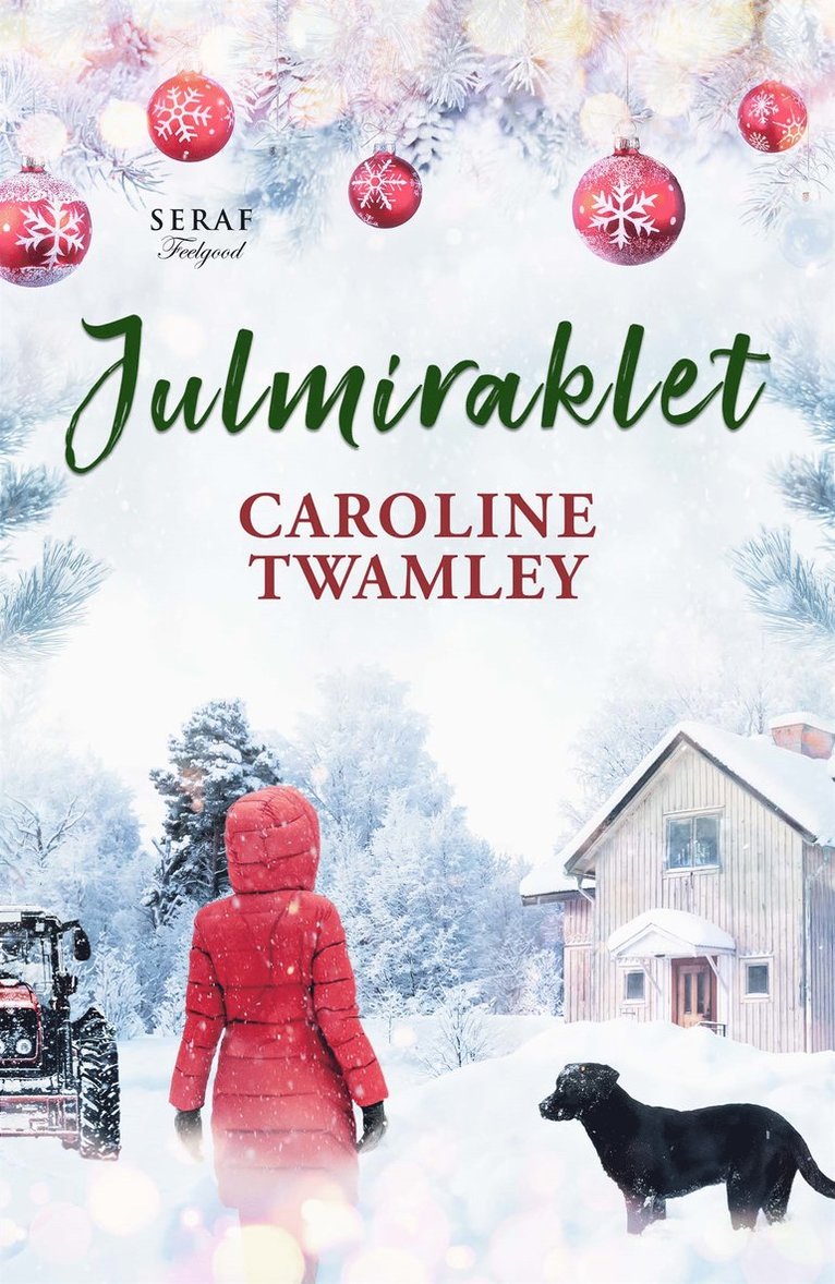 Caroline Twamley - Julmiraklet, E-bok