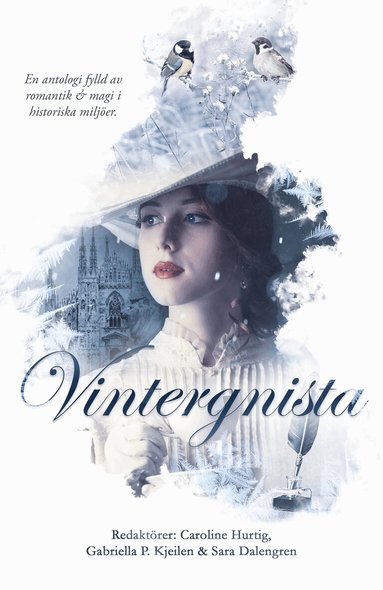 Sara Dalengren, Gabriella P. Kjeilen, Emelie Beijer, Öhman - Vintergnista, Häftad