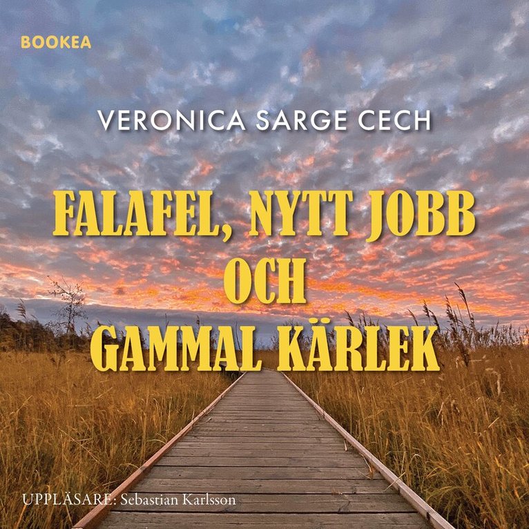 Veronica Sarge Cech - Falafel, nytt jobb och gammal kärlek, Ljudbok
