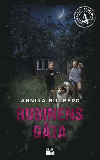 Annika Billberg Rubinens gåta