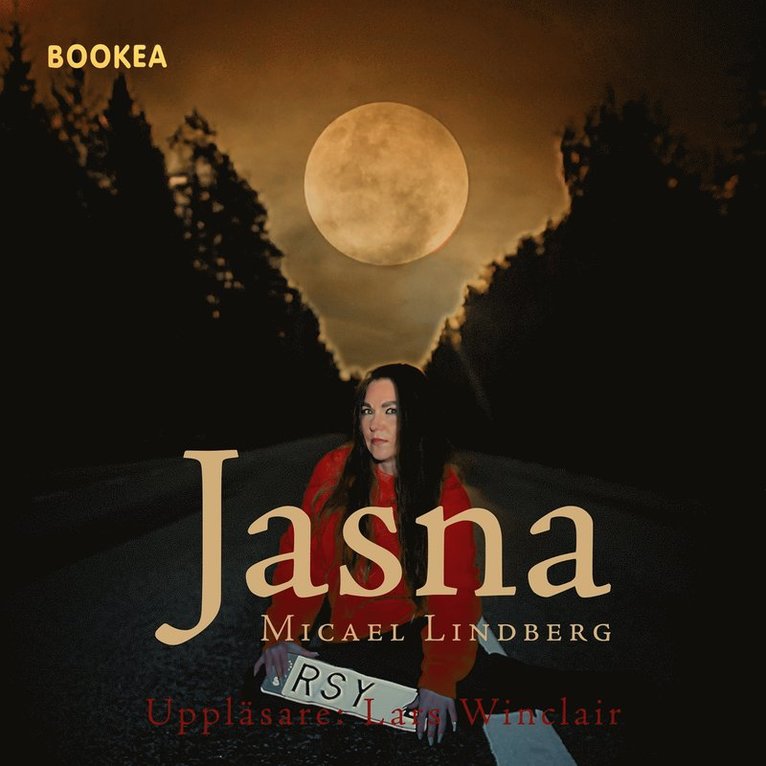 Micael Lindberg - Jasna, Ljudbok