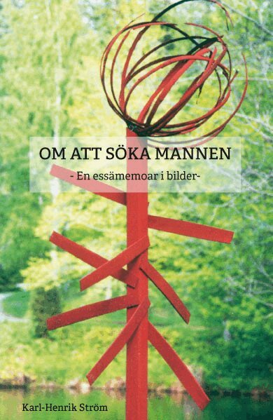 Karl-Henrik Ström - Om att söka mannen, Storpocket