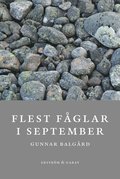 Flest fglar i september