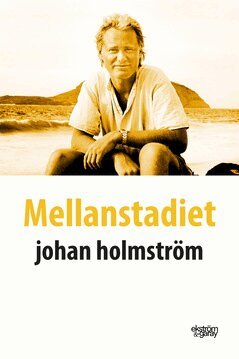 Johan Holmström - Mellanstadiet, E-bok