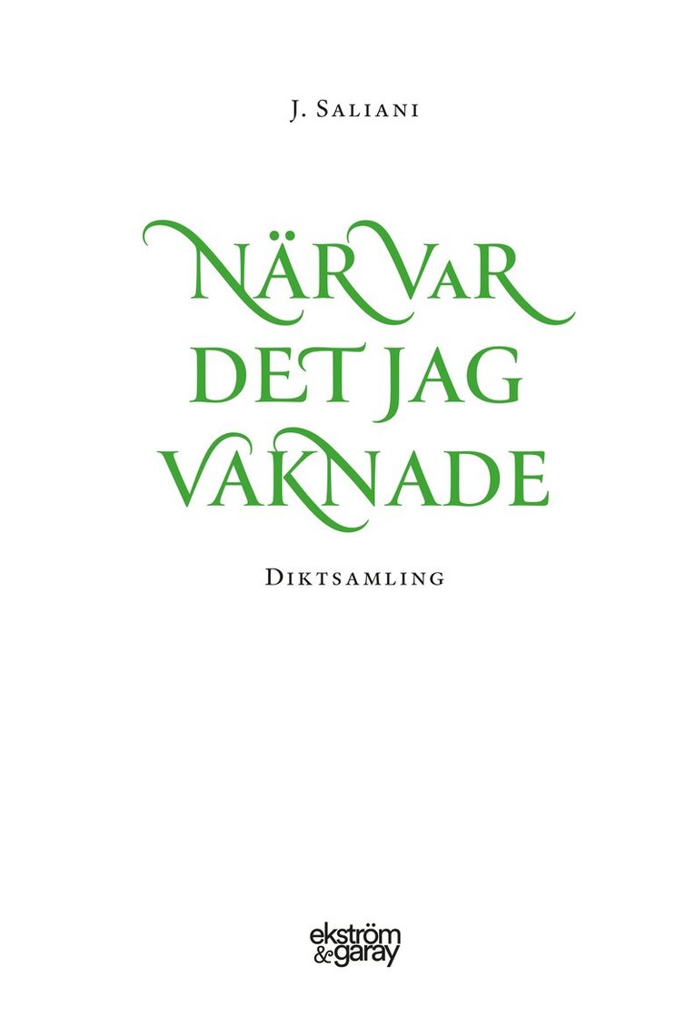 J. Saliani - När var det jag vaknade, Inbunden