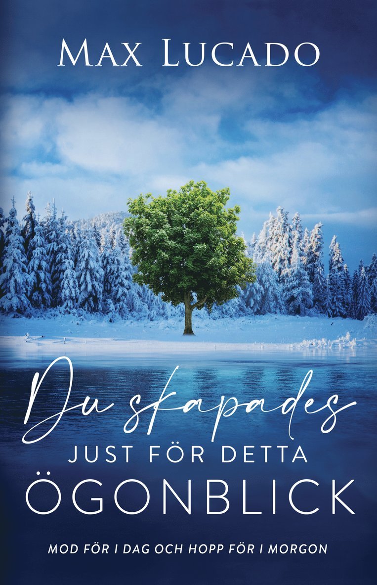 Max Lucado - Du skapades just för detta ögonblick, Häftad