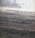 I stadens skugga : den medeltida landsbygden som arkeologiskt forskningsflt