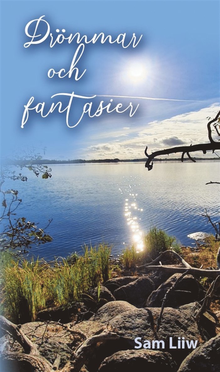 Sam Liiw - Drömmar och fantasier, E-bok