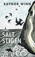 Saltstigen